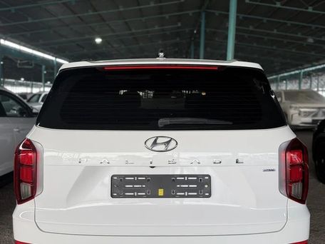 Hyundai Palisade, 2020 — фото 2