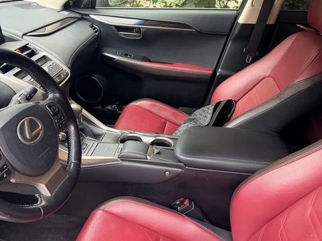Lexus NX, 2019 — photo 5