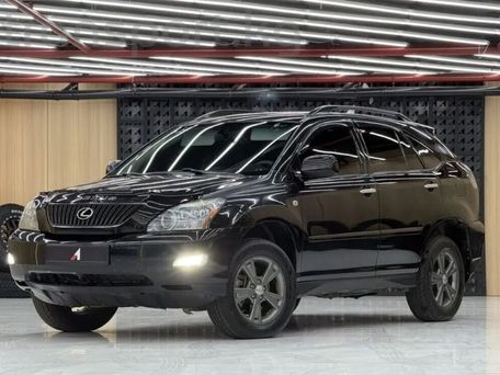 Lexus RX, 2008 — фото 5
