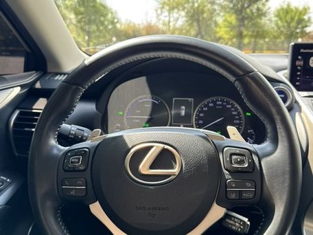 Lexus NX, 2019 — сүрөт 13