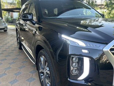Hyundai Palisade, 2020 — 照片 8