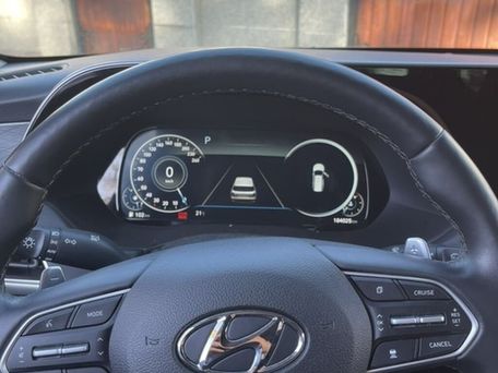 Hyundai Palisade, 2021 — сүрөт 10