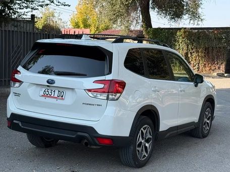 Subaru Forester, 2019 — 照片 5