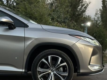 Lexus RX, 2022 — фото 8