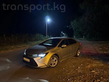 Toyota Levin, 2020 — сүрөт 4