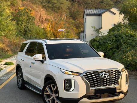 Hyundai Palisade, 2019