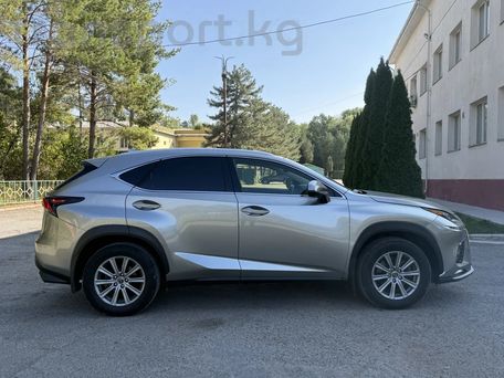 Lexus NX, 2018 — фото 5