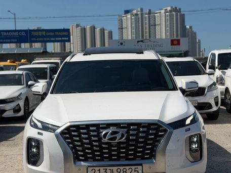 Hyundai Palisade, 2020 — сүрөт 1