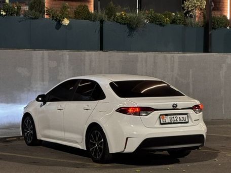 Toyota Levin, 2023 — 照片 8