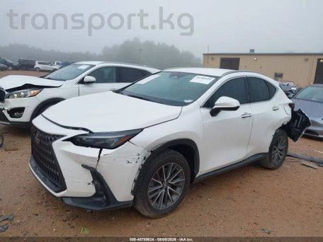 Lexus NX, 2022 — сүрөт 3