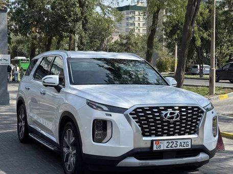 Hyundai Palisade, 2020 — photo 1