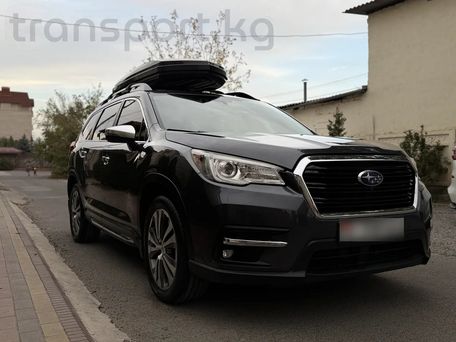 Subaru Ascent, 2019 — фото 5
