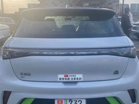 BYD Dolphin, 2022 — photo 3