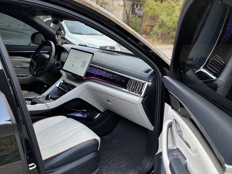 BYD Song Plus, 2024 — сүрөт 9