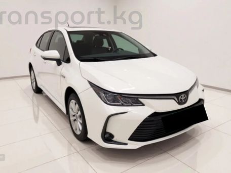 Toyota Corolla, 2023 — сүрөт 3