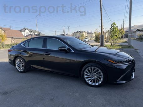 Lexus ES, 2019 — photo 2