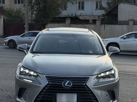 Lexus NX, 2017 — фото 12