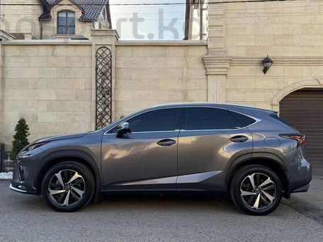 Lexus NX, 2019 — сүрөт 4