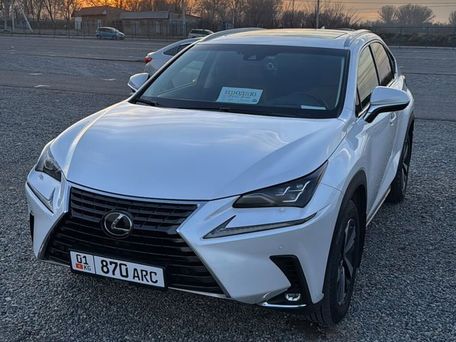 Lexus NX, 2018 — фото 1