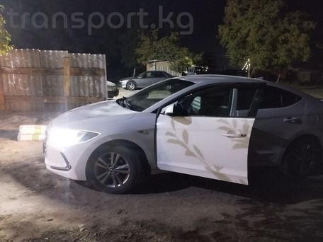 Hyundai Elantra, 2017 — 照片 9