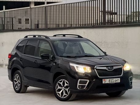 Subaru Forester, 2019 — фото 1