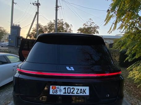 Li Auto (Lixiang) L9, 2024 — 照片 6