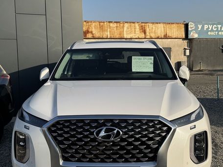 Hyundai Palisade, 2020 — photo 2