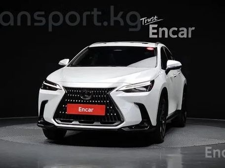 Lexus NX, 2025 — сүрөт 3