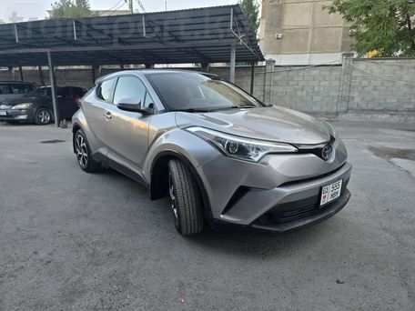 Toyota C-HR, 2019 — фото 2