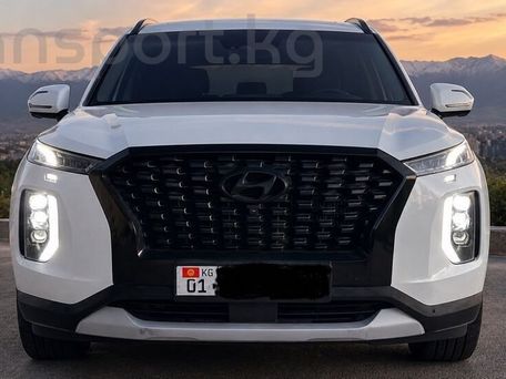 Hyundai Palisade, 2019 — фото 1
