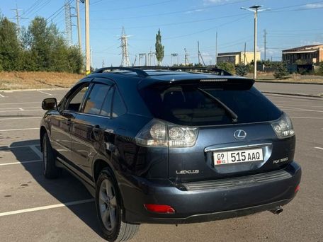 Lexus RX, 2003 — сүрөт 12