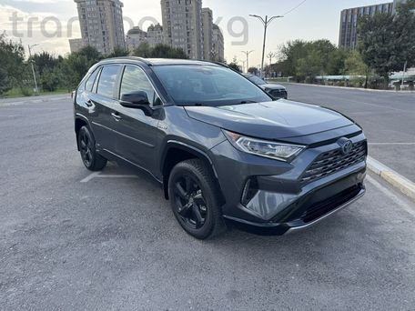 Toyota RAV4, 2020 — фото 2