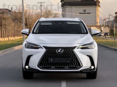 Lexus NX, 2023 — сүрөт 5