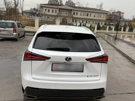 Lexus NX, 2019 — photo 7