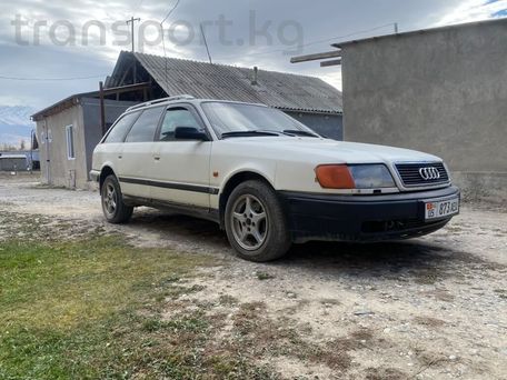 Audi 100, 1993 — сүрөт 2