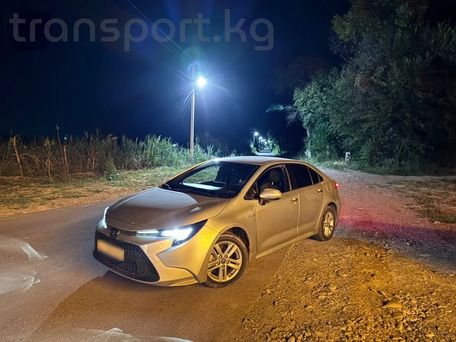 Toyota Levin, 2020 — сүрөт 6