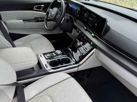 Kia Carnival, 2020 — фото 10