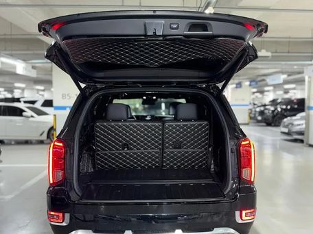 Hyundai Palisade, 2020 — фото 12