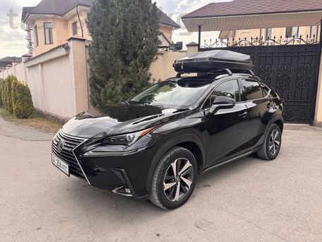 Lexus NX, 2019 — фото 1