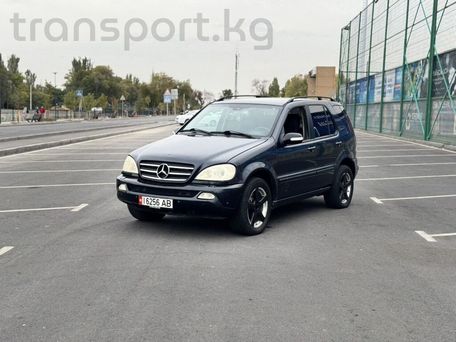 Mercedes-Benz M-Класс, 2003 — фото 1