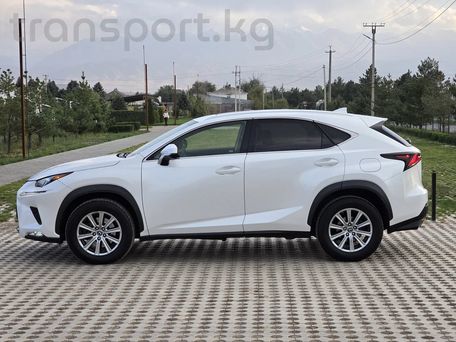 Lexus NX, 2017 — сүрөт 6