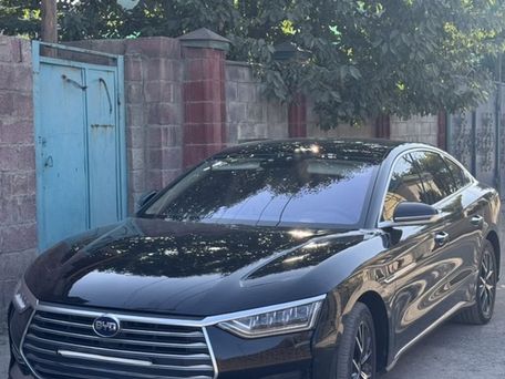 BYD E9, 2021 — photo 4