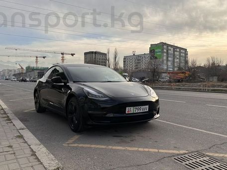 Tesla Model 3, 2019 — photo 1