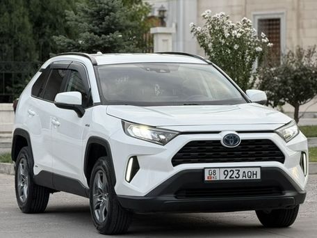 Toyota RAV4, 2019 — фото 3
