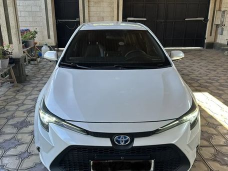 Toyota Levin, 2021 — photo 1