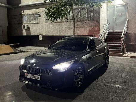 Kia Stinger, 2018 — photo 5