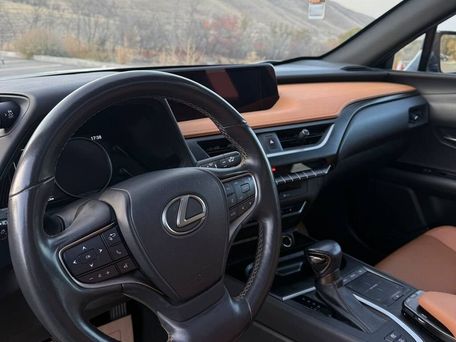 Lexus UX, 2019 — photo 8