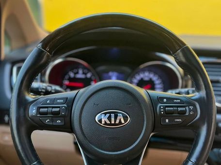 Kia Carnival, 2020 — сүрөт 15
