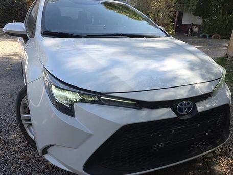 Toyota Levin, 2020 — сүрөт 2