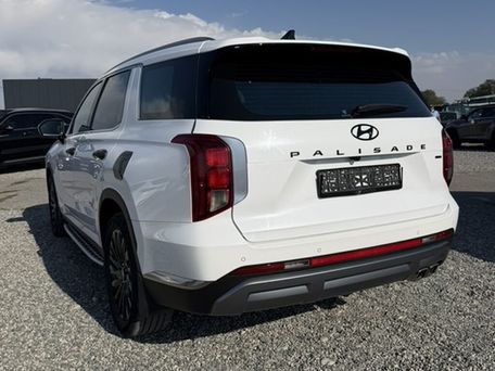 Hyundai Palisade, 2023 — photo 4